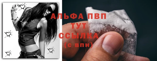 крисы Дмитровск