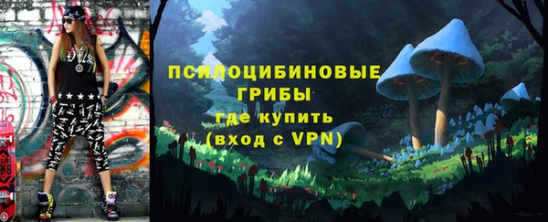 первитин Дмитров