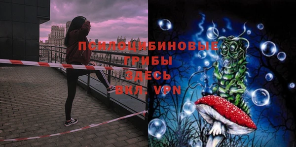 первитин Дмитров