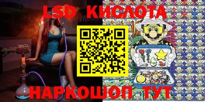 PSILOCYBIN Гай