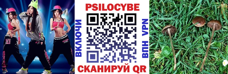 Псилоцибиновые грибы мухоморы  Дербент 