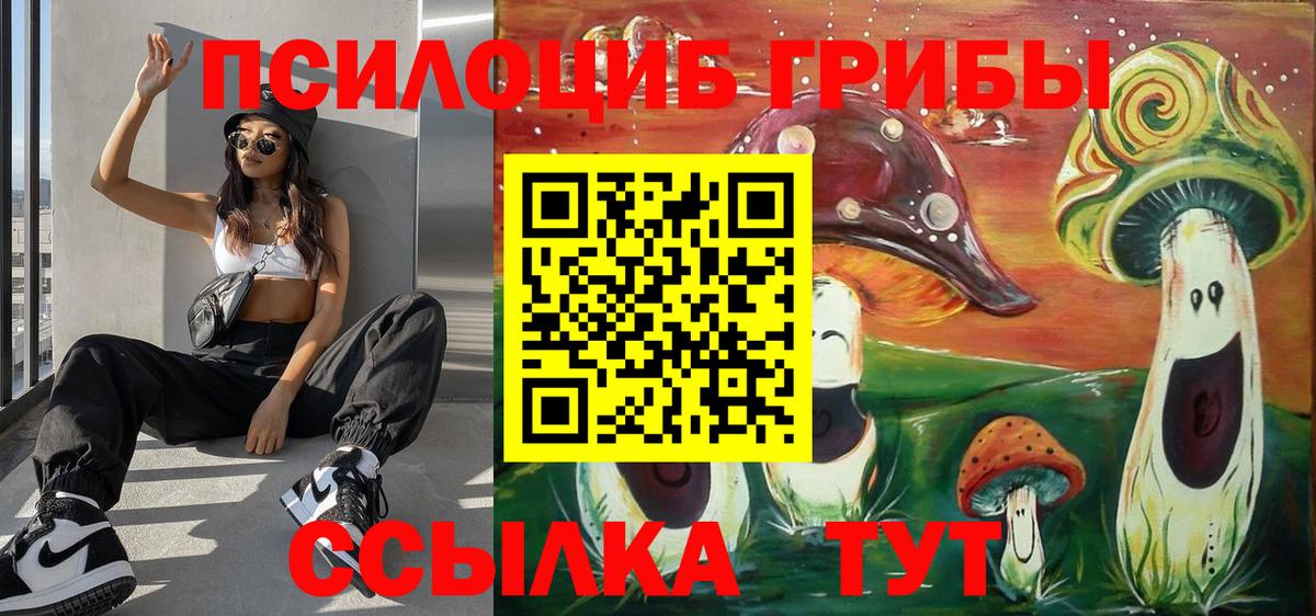 Псилоцибиновые грибы Magic Shrooms  Дербент 