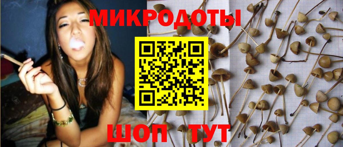 Псилоцибиновые грибы GOLDEN TEACHER Дербент