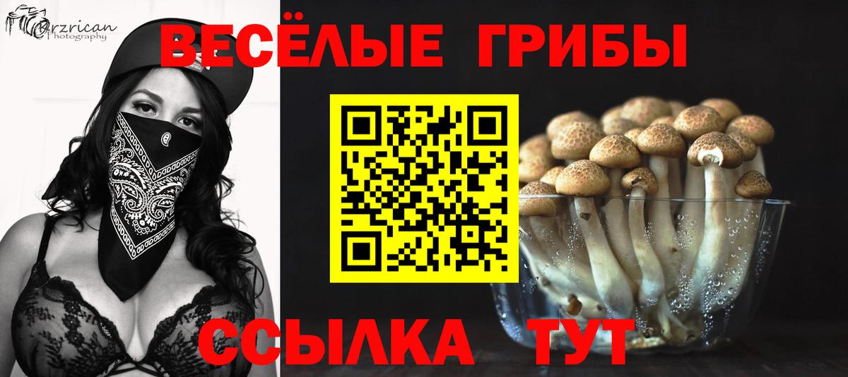 Псилоцибиновые грибы прущие грибы  Вход с VPN  Дербент  Псилоцибиновые грибы MAGIC MUSHROOMS 